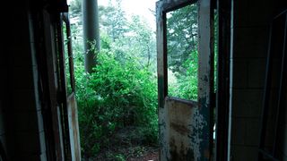 150. Реверс 666 (2015)