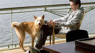 37. Дом у озера (2006)