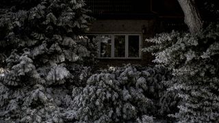 30. Берлинский синдром (2017)