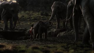 29. Книга джунглей (2016)