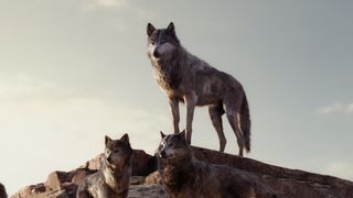 47. Книга джунглей (2016)