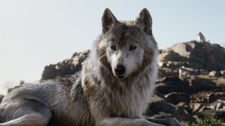 48. Книга джунглей (2016)