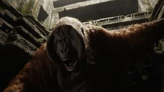 5. Книга джунглей (2016)