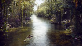 8. Книга джунглей (2016)