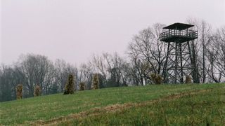 41. Таинственный лес (2004)