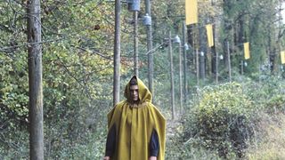 45. Таинственный лес (2004)