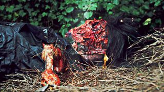 27. Отель Инферно (2013)