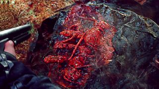 35. Отель Инферно (2013)