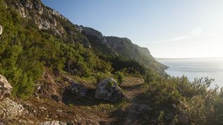 42. Пещера (2013)