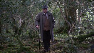 17. Пробуждающийся лес (2009)