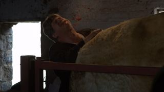 23. Пробуждающийся лес (2009)