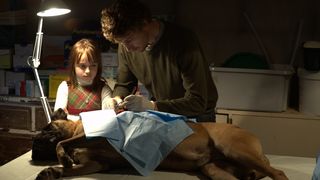 26. Пробуждающийся лес (2009)