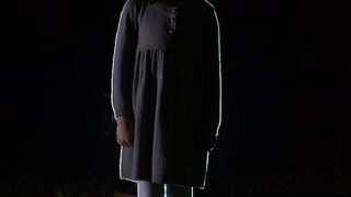 37. Пробуждающийся лес (2009)