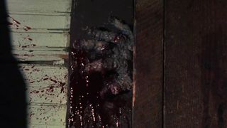 75. Зловещие мертвецы (1981)