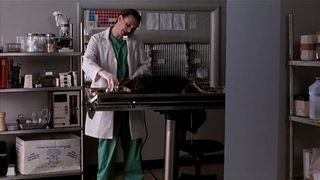 17. Кладбище домашних животных 2 (1992)