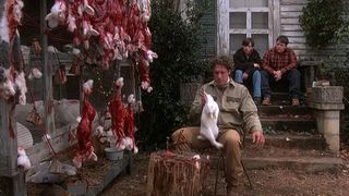 24. Кладбище домашних животных 2 (1992)