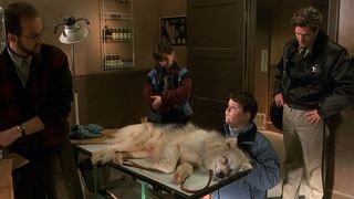 25. Кладбище домашних животных 2 (1992)