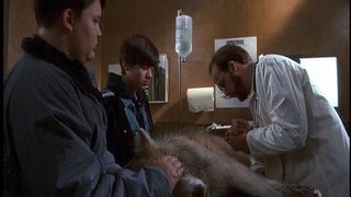 35. Кладбище домашних животных 2 (1992)