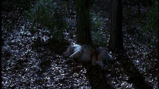 44. Кладбище домашних животных 2 (1992)