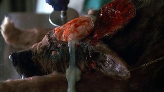 52. Кладбище домашних животных 2 (1992)