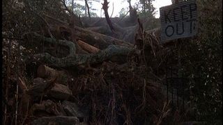 71. Кладбище домашних животных 2 (1992)