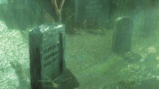 27. Возвращение живых мертвецов (1984)