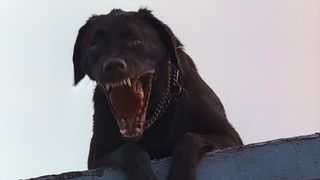 22. Ночной полет (1997)