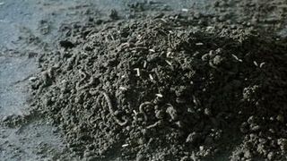 73. Ночной полет (1997)