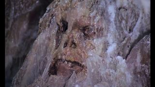 14. Поезд ужасов (1972)