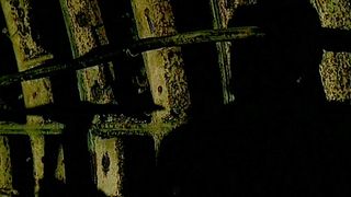 12. Путевой обходчик (2007)