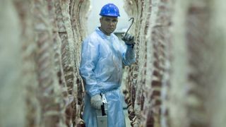 23. Полуночный экспресс (2008)