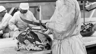 39. Полуночный экспресс (2008)