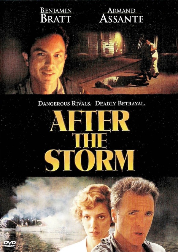 После шторма (2001)